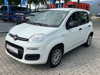 Gebraucht Fiat Panda Easy 69 PS (50 kW) 2020 Kleinwagen
