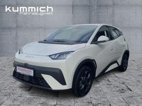 Neu BYD Dolphin Surf Boost 64 kW (88 PS) 2025 Weiß Kleinwagen