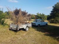 gebraucht Trabant 601 P 601L