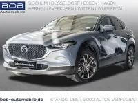 Gebraucht Mazda CX-30 Selection 186 PS (136 kW) 2021 Grau SUV