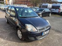 Używany Ford Fiesta Fun X 101 KM (74 kW) 2007 Niebieski Hatchback