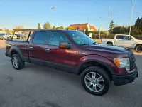 Używany Ford V8 XLT 314 KM (230 kW) 2009 Czerwony SUV