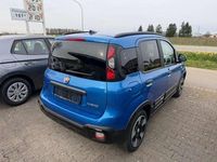 Neu Fiat Panda Cross Cross 69 PS (50 kW) 2026 Italia blau metallic Kleinwagen