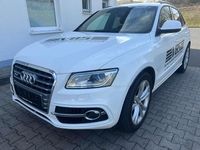 Gebraucht Audi SQ5 313 PS (230 kW) 2013 Ibisweiß SUV
