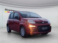 Neu Fiat Panda Pop 69 PS (50 kW) 2026 Rot Kleinwagen