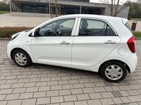 Gebraucht Kia Picanto Attract 69 PS (50 kW) 2014 Weiß Kleinwagen