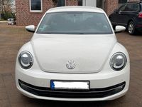 Gebraucht VW Beetle Design 105 PS (77 kW) 2012 Weiß Kleinwagen