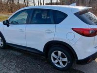 Usata Mazda CX-5 Exclusive-Line 150 CV (110 kW) 2015 SUV