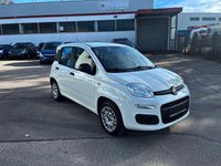 Gebraucht Fiat Panda Easy 69 PS (50 kW) 2019 Weiß Kleinwagen