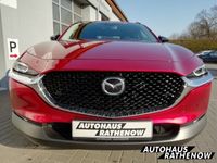 gebraucht Mazda CX-30 Homura 2.0 SKYACTIV-X-M Hybrid EU6d BLACK EDITION