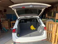 Gebraucht VW Tiguan Basis 150 PS (110 kW) 2022 SUV