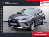 Gebraucht Lexus NX300h 197 PS (144 kW) 2019 Grau SUV