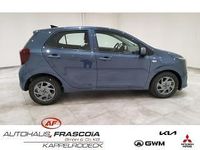 Neu Kia Picanto Vision 91 PS (66 kW) 2025 Grau Kleinwagen