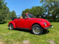 Gebraucht VW Käfer 50 PS (36 kW) 1973 Rot Cabrio