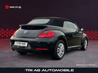 gebraucht VW Beetle Cabriolet Basis BMT