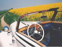 Gebraucht Mercedes 170 52 PS (38 kW) 1952 Weiß Cabrio