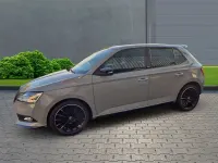 Gebraucht Skoda Fabia Monte Carlo 95 PS (69 kW) 2019 Grau Kleinwagen