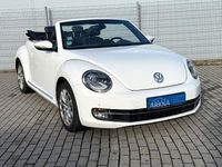 Gebraucht VW Beetle Cabriolet Design 105 PS (77 kW) 2013 Weiß Cabrio