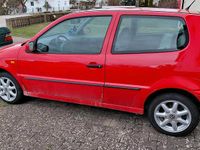 Usata VW Polo 65 CV (47 kW) 1996 Rosso Utilitaria