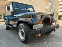 Gebraucht Jeep Wrangler 180 PS (132 kW) 1993 Schwarz SUV