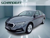 Gebraucht Skoda Octavia Ambition 116 PS (85 kW) 2023 Grau Limousine