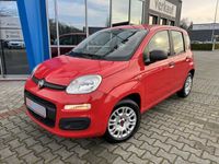 gebraucht Fiat Panda 1.2 Start&Stop Easy PDC SH BT Klima USB 1.Hand