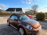 Gebraucht VW Beetle Cabriolet Allstar 110 PS (80 kW) 2016 Braun Cabrio