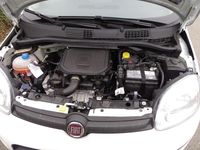 Gebraucht Fiat Panda 69 PS (50 kW) 2024 Weiß Kleinwagen