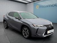 Gebraucht Lexus UX 250h 184 PS (135 kW) 2021 Grau SUV