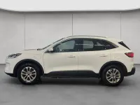 Occasion Ford Kuga Titanium 224 ch (164 kW) 2022 Blanc SUV