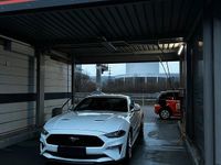 Gebraucht Ford Mustang GT 460 PS (338 kW) 2023 Weiß Coupé