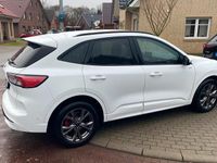 Gebraucht Ford Kuga ST-Line 120 PS (88 kW) 2024 Weiß SUV