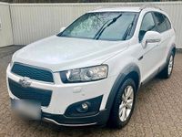 Gebraucht Chevrolet Captiva 184 PS (135 kW) 2013 Weiß SUV