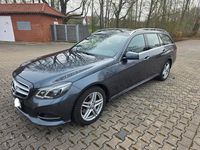 Gebraucht Mercedes E250 Avantgarde 204 PS (150 kW) 2014 Kombi
