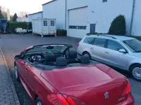 Gebraucht Peugeot 307 CC 140 PS (102 kW) 2007 Rot Cabrio