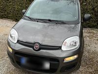 Gebraucht Fiat Panda Easy 69 PS (50 kW) 2019 Beige Kleinwagen