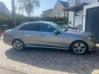 Gebraucht Mercedes E220 Elegance 170 PS (125 kW) 2014 Grau Limousine
