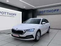 Gebraucht Skoda Octavia Style 116 PS (85 kW) 2023 Candyweiß Kombi