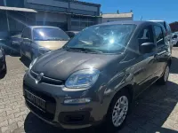 Gebraucht Fiat Panda Easy 69 PS (50 kW) 2021 Colore esterno (colosseo grau) Kleinwagen