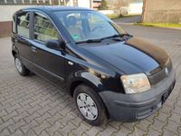 gebraucht Fiat Panda 1.1 8V Active TÜV & SERVICE NEU