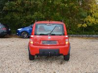 gebraucht Fiat Panda 1.2 8V Climbing 4X4*Klimaaut.*AHK*LMF*2.H.