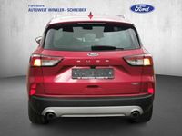 Używany Ford Kuga Titanium 224 KM (164 kW) 2021 Czerwony SUV