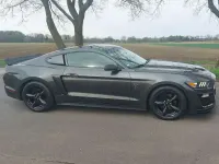 Gebraucht Ford Mustang 307 PS (225 kW) 2016 Grau Coupé