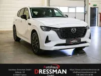 Gebraucht Mazda CX-60 Homura-Line 254 PS (186 kW) 2023 Weiß SUV