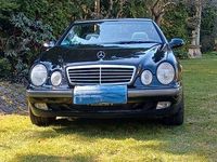 Gebraucht Mercedes CLK200 136 PS (100 kW) 2000 Schwarz Cabrio