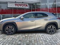 Gebraucht Lexus UX 250h 184 PS (135 kW) 2023 Weiß SUV