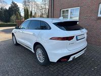 Gebraucht Jaguar F-Pace 300 PS (220 kW) 2017 Weiß SUV