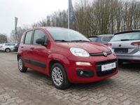 gebraucht Fiat Panda 1.2Easy KLIMA*STZHZG*4SEASONREIFEN*5-Turer