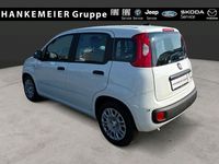 Neu Fiat Panda Icon 65 PS (47 kW) 2026 Weiß Kleinwagen