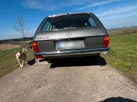 Gebraucht Mercedes 280 185 PS (136 kW) 1983 Grau Kombi